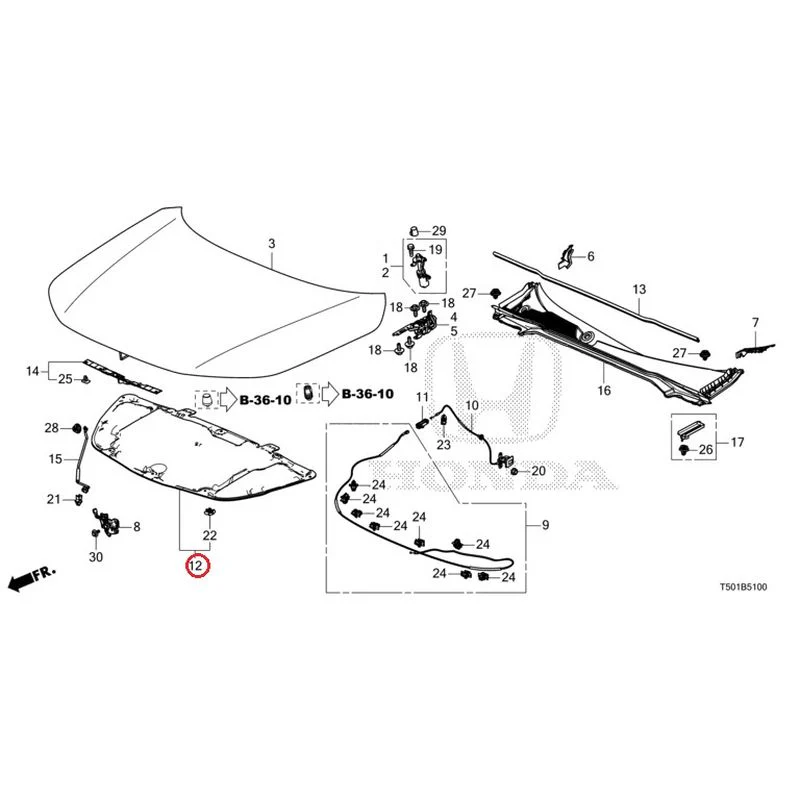 [NEW] JDM HONDA CIVIC FL4 2023 Hood GENUINE OEM - Image 13