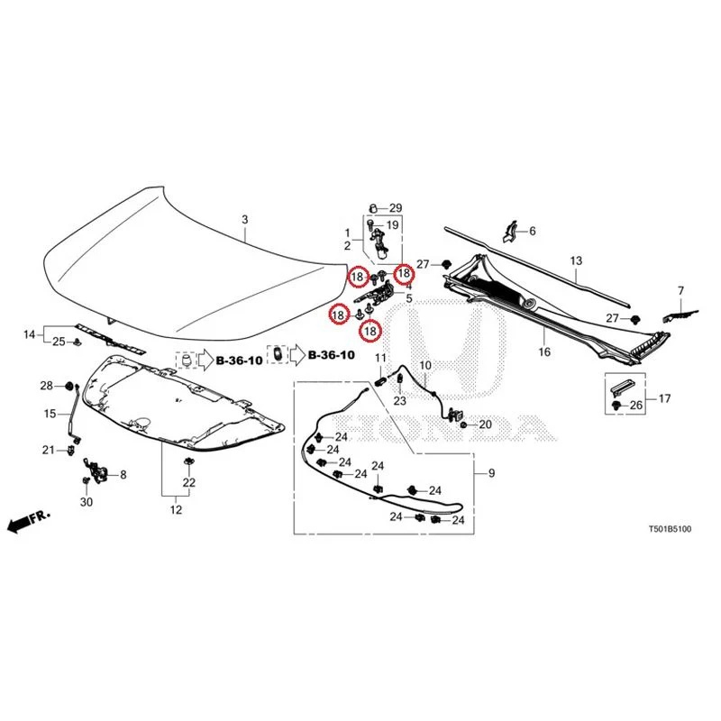 [NEW] JDM HONDA CIVIC FL4 2023 Hood GENUINE OEM - Image 19