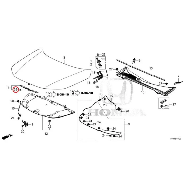 [NEW] JDM HONDA CIVIC FL4 2023 Hood GENUINE OEM - Image 26