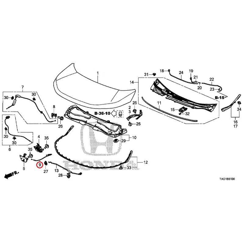 [NEW] JDM HONDA STEP WGN SPADA RP5 2020 Hood GENUINE OEM - Image 10