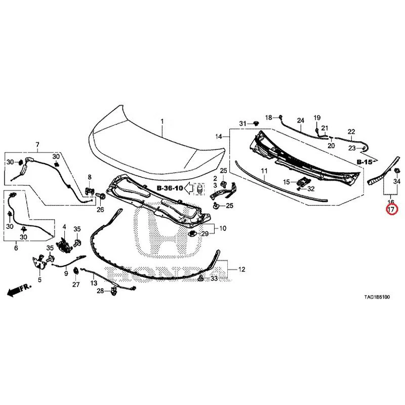 [NEW] JDM HONDA STEP WGN SPADA RP5 2020 Hood GENUINE OEM - Image 18