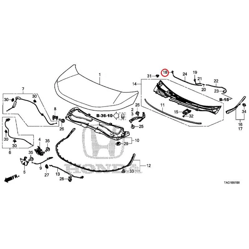 [NEW] JDM HONDA STEP WGN SPADA RP5 2020 Hood GENUINE OEM - Image 19