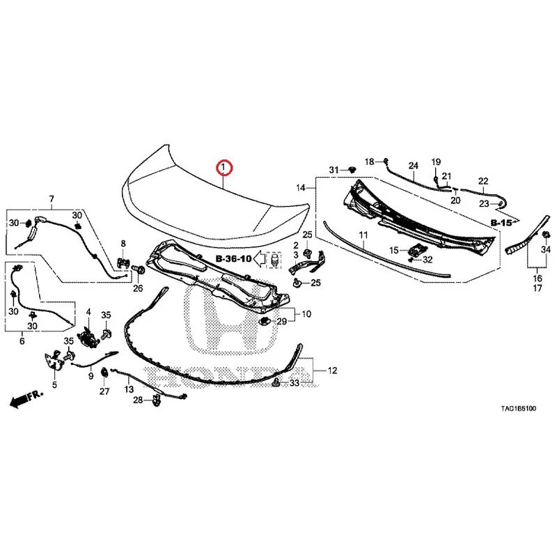 [NEW] JDM HONDA STEP WGN SPADA RP5 2020 Hood GENUINE OEM - Image 2