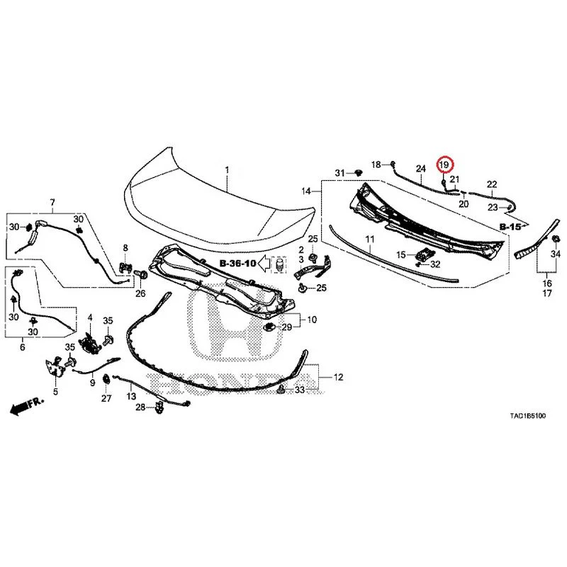 [NEW] JDM HONDA STEP WGN SPADA RP5 2020 Hood GENUINE OEM - Image 20