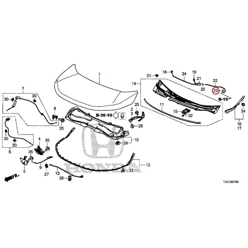 [NEW] JDM HONDA STEP WGN SPADA RP5 2020 Hood GENUINE OEM - Image 24