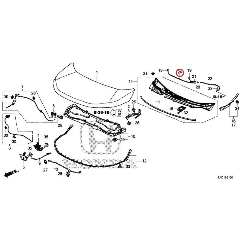 [NEW] JDM HONDA STEP WGN SPADA RP5 2020 Hood GENUINE OEM - Image 25