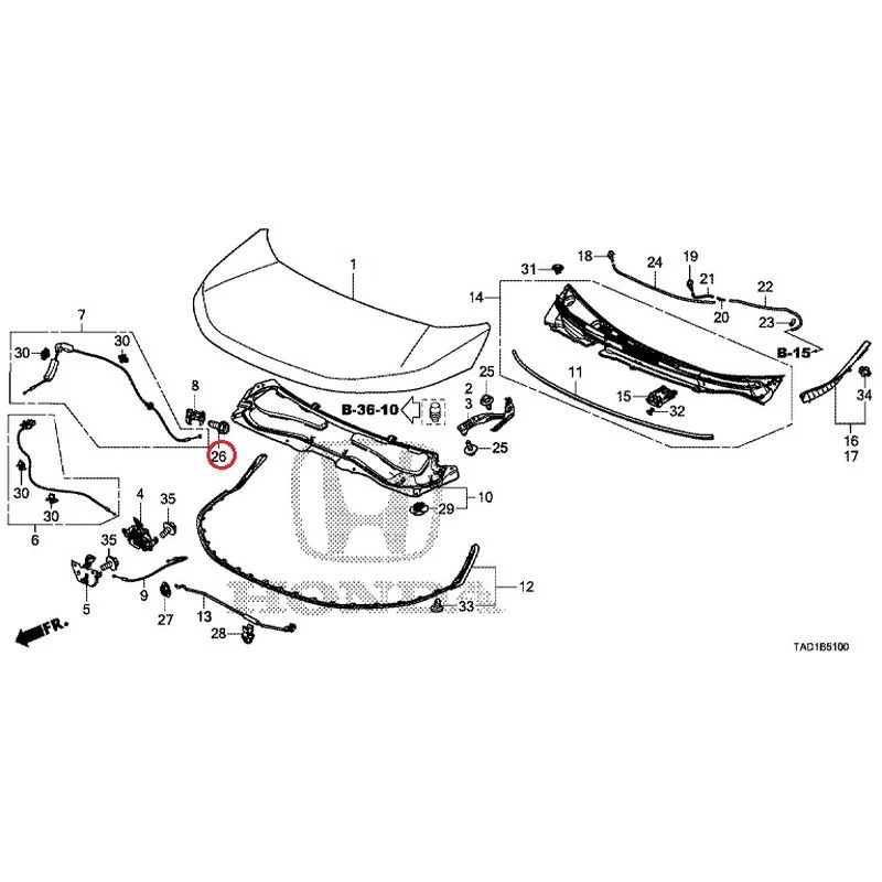 [NEW] JDM HONDA STEP WGN SPADA RP5 2020 Hood GENUINE OEM - Image 27