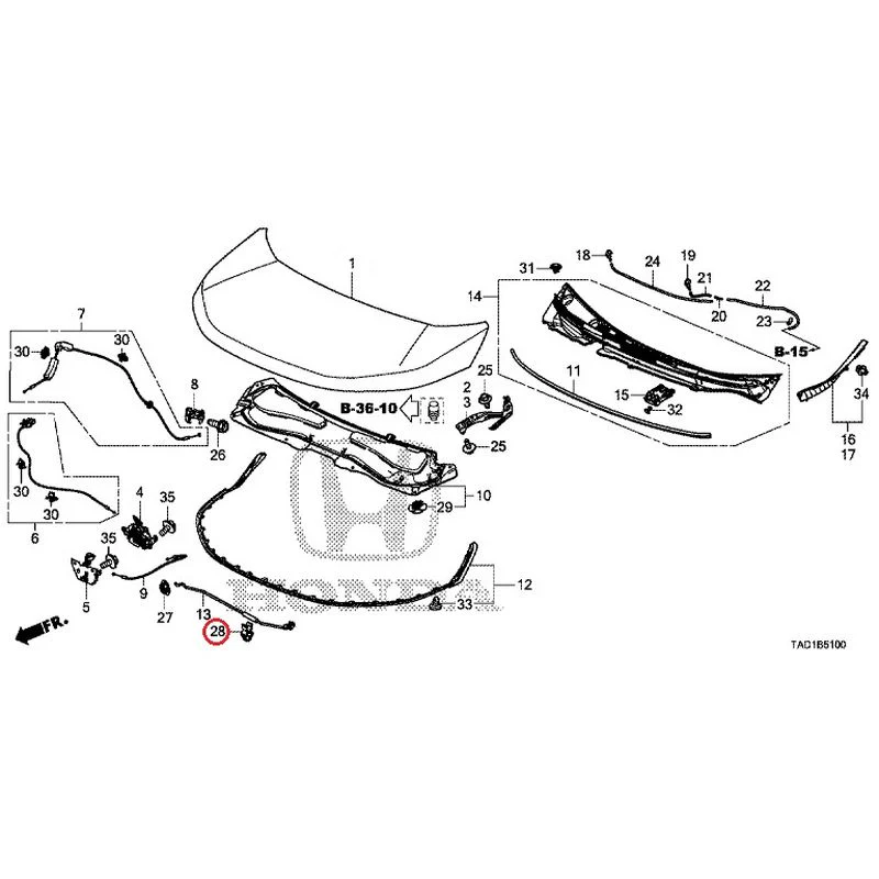 [NEW] JDM HONDA STEP WGN SPADA RP5 2020 Hood GENUINE OEM - Image 29