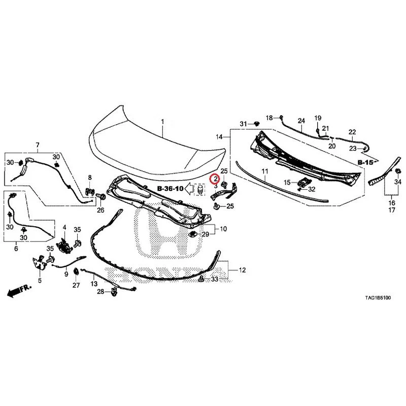[NEW] JDM HONDA STEP WGN SPADA RP5 2020 Hood GENUINE OEM - Image 3