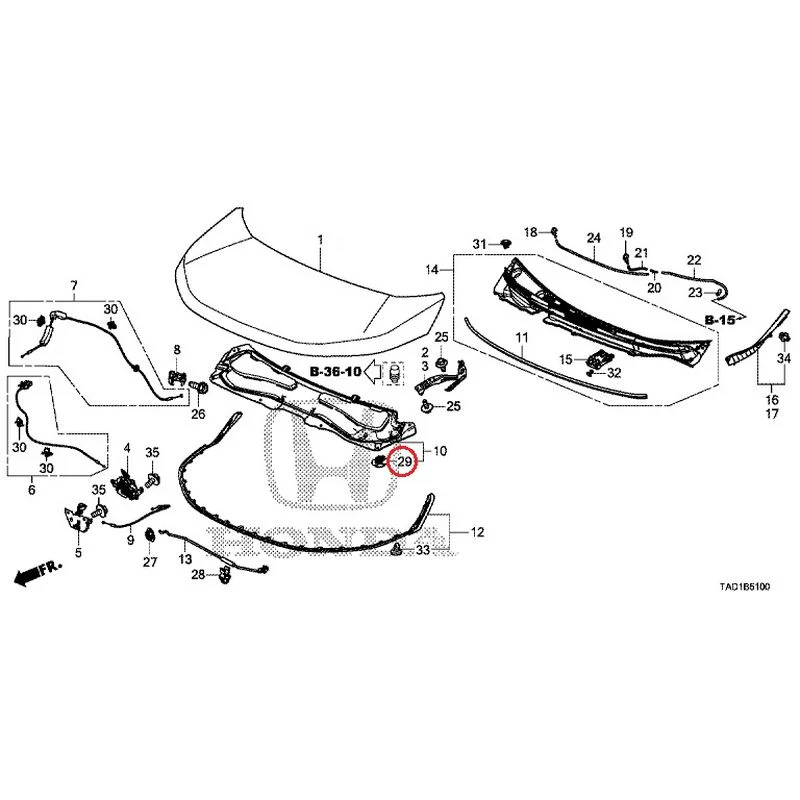 [NEW] JDM HONDA STEP WGN SPADA RP5 2020 Hood GENUINE OEM - Image 30