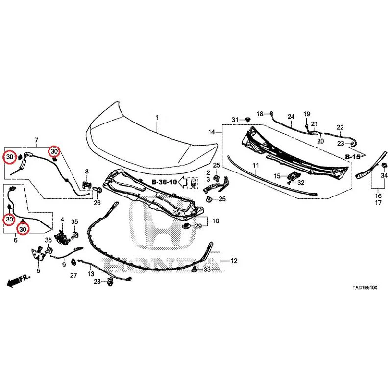 [NEW] JDM HONDA STEP WGN SPADA RP5 2020 Hood GENUINE OEM - Image 31