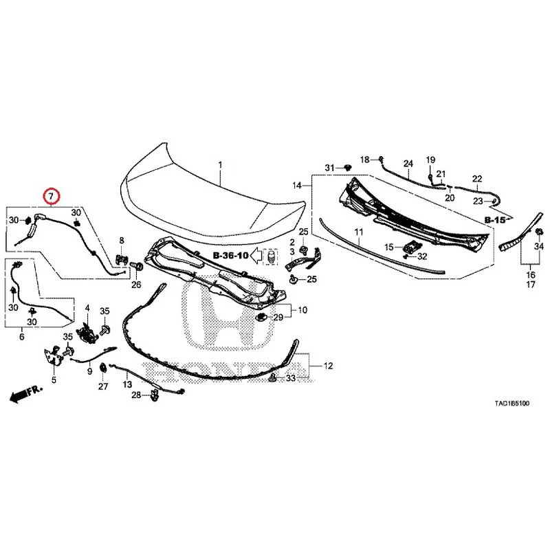 [NEW] JDM HONDA STEP WGN SPADA RP5 2020 Hood GENUINE OEM - Image 8