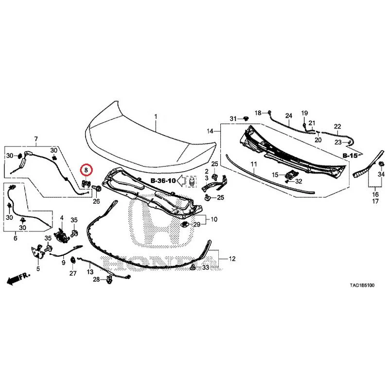 [NEW] JDM HONDA STEP WGN SPADA RP5 2020 Hood GENUINE OEM - Image 9