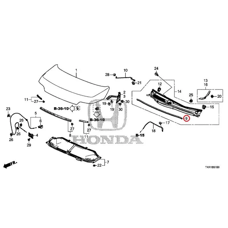 [NEW] JDM HONDA N-WGN CUSTOM JH3 2023 Hood GENUINE OEM - Image 9