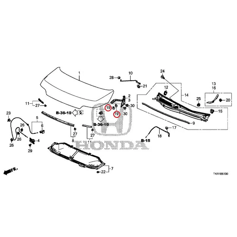 [NEW] JDM HONDA N-WGN JH3 2023 Hood GENUINE OEM - Image 19