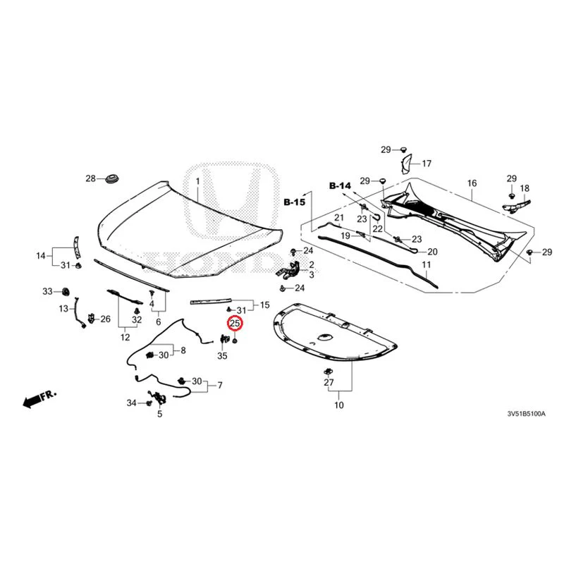 [NEW] JDM HONDA ZR-V e:HEV RZ4 2025 Hood GENUINE OEM - Image 27
